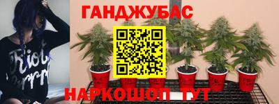 гидра Комсомольск-на-Амуре