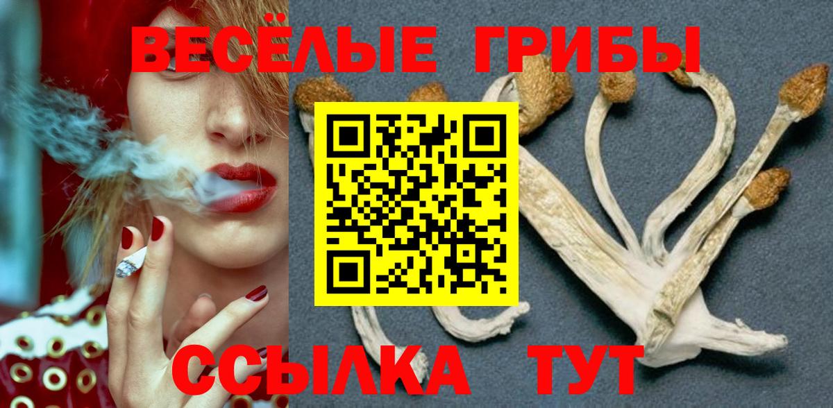 сколько стоит  Вход с VPN  Янаул  Галлюциногенные грибы мухоморы  Псилоцибиновые грибы Magic Shrooms 